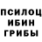Псилоцибиновые грибы прущие грибы Myers Farms
