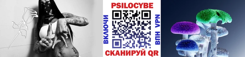 Купить закладки  Кропоткин  Псилоцибиновые грибы Cubensis 